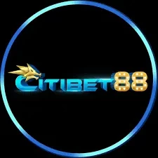 Panduan Lengkap Aplikasi citibet88 untuk Pemula